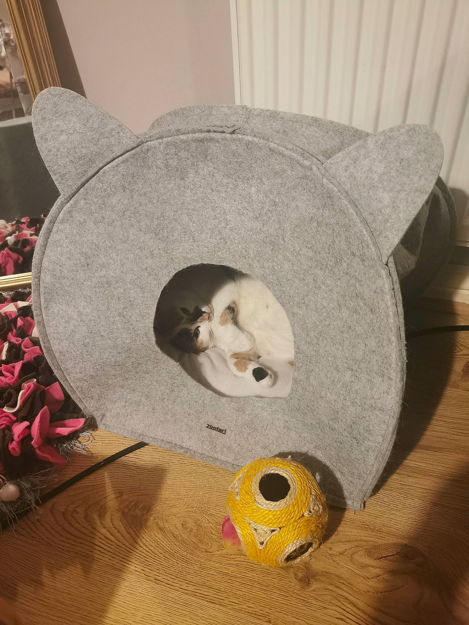 Dolly is registered to the contest to win money with this photo: art, automotive_wheel_system, button, carmine, carnivore, cat, circle, fashion_accessory, felidae, grey, headgear, metal, paper, petal, sculpture, small_to_medium_sized_cats, stuffed_toy, visual_arts, whiskers, wood