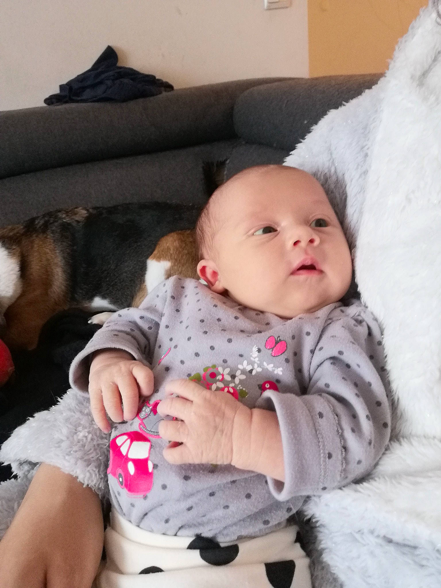 Eléonore participe au concours pour gagner de l'argent avec cette photo : baby, baby_toddler_clothing, cheek, child, comfort, couch, fur, happy, human_leg, knee, lap, linens, person, portrait_photography, product, sitting, skin, textile, thigh, toddler