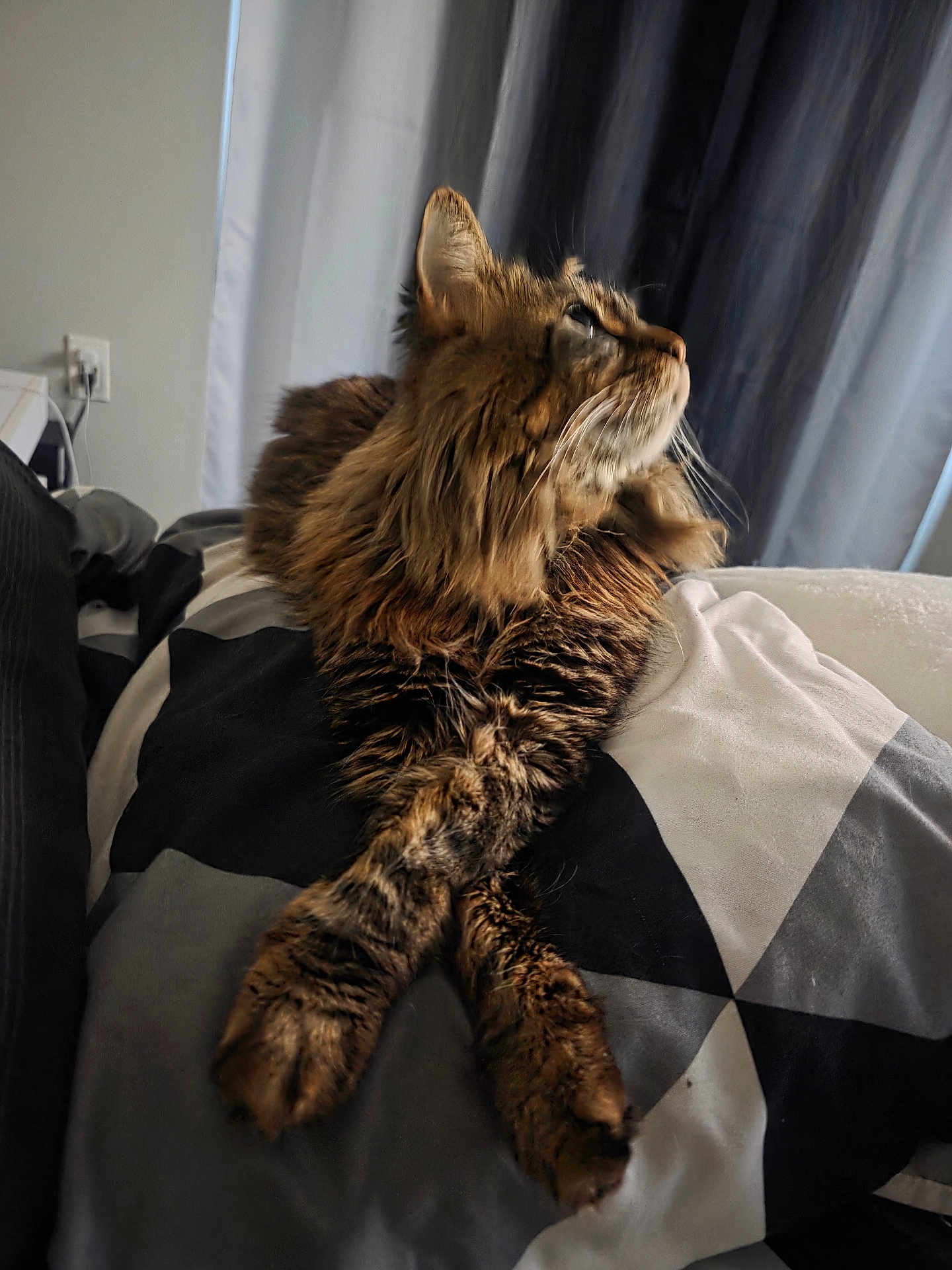 Kiki