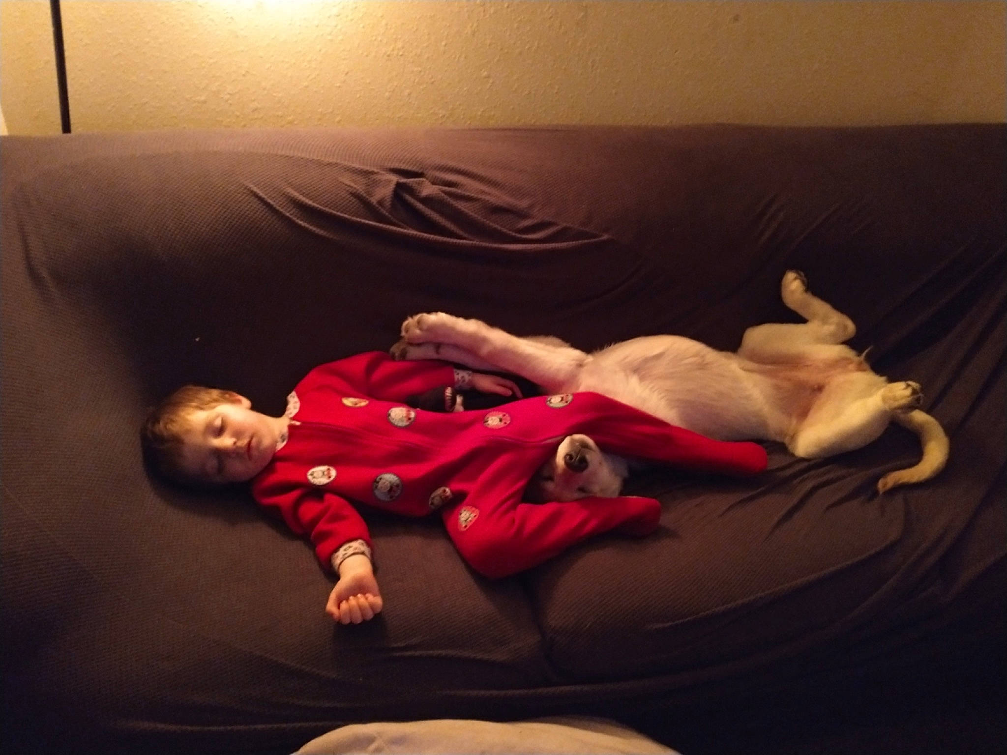 Luna joined the competition — help win amazing prizes! abdomen, barefoot, bed, cloud, comfort, couch, elbow, flash_photography, foot, furniture, happy, human_leg, knee, lamp, lap, linens, thigh, tints_and_shades, trunk, wood