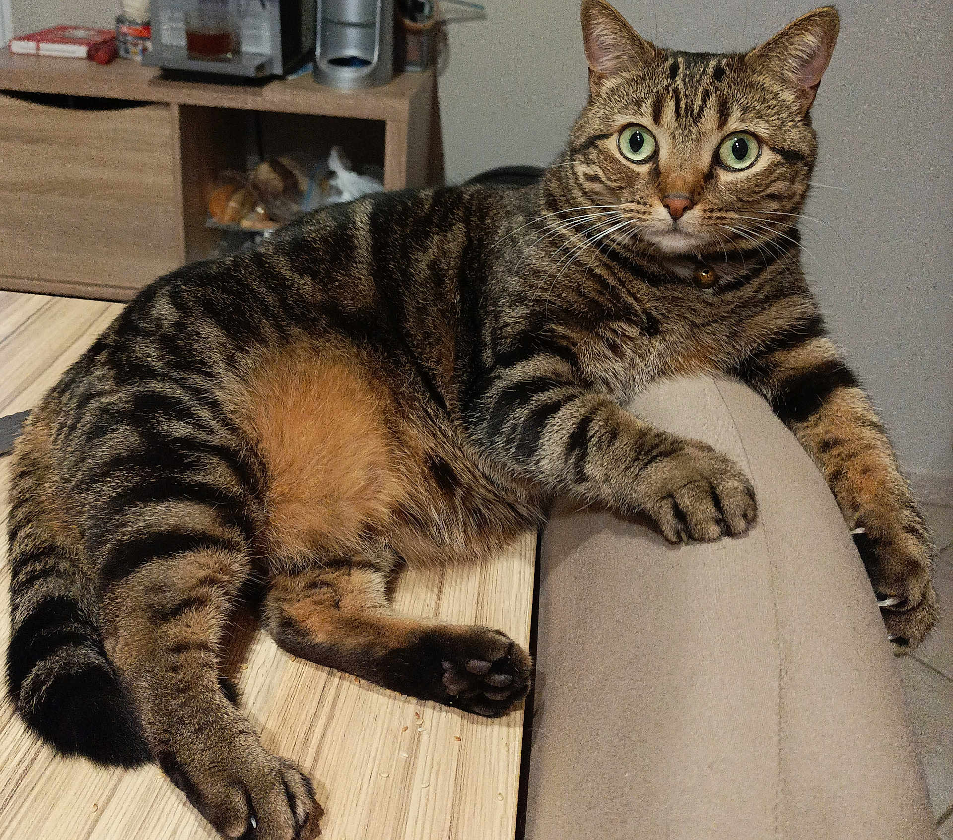 Mya