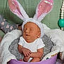 baby, sleeping, bunny_ears, costume, blanket, purple_bowl, infant, cute, cozy, soft, child, hands, pink, white, gray, green_background, nursery, resting, adorable, peaceful