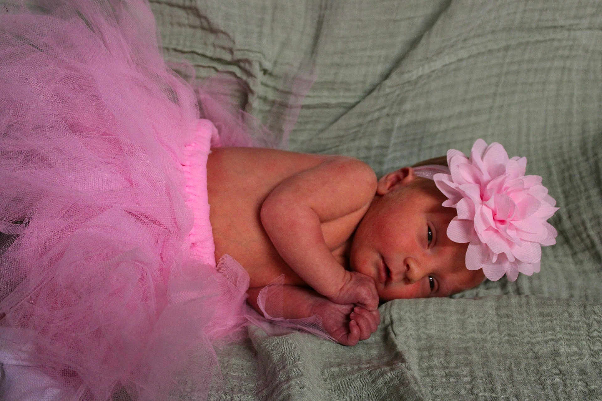 Raelynn