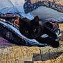 animal, black_cat, blanket, cat, comfort, cozy, cute, eyes, feline, fur, home, indoor, paws, pet, quilt, resting, sleepy, soft, texture, warm