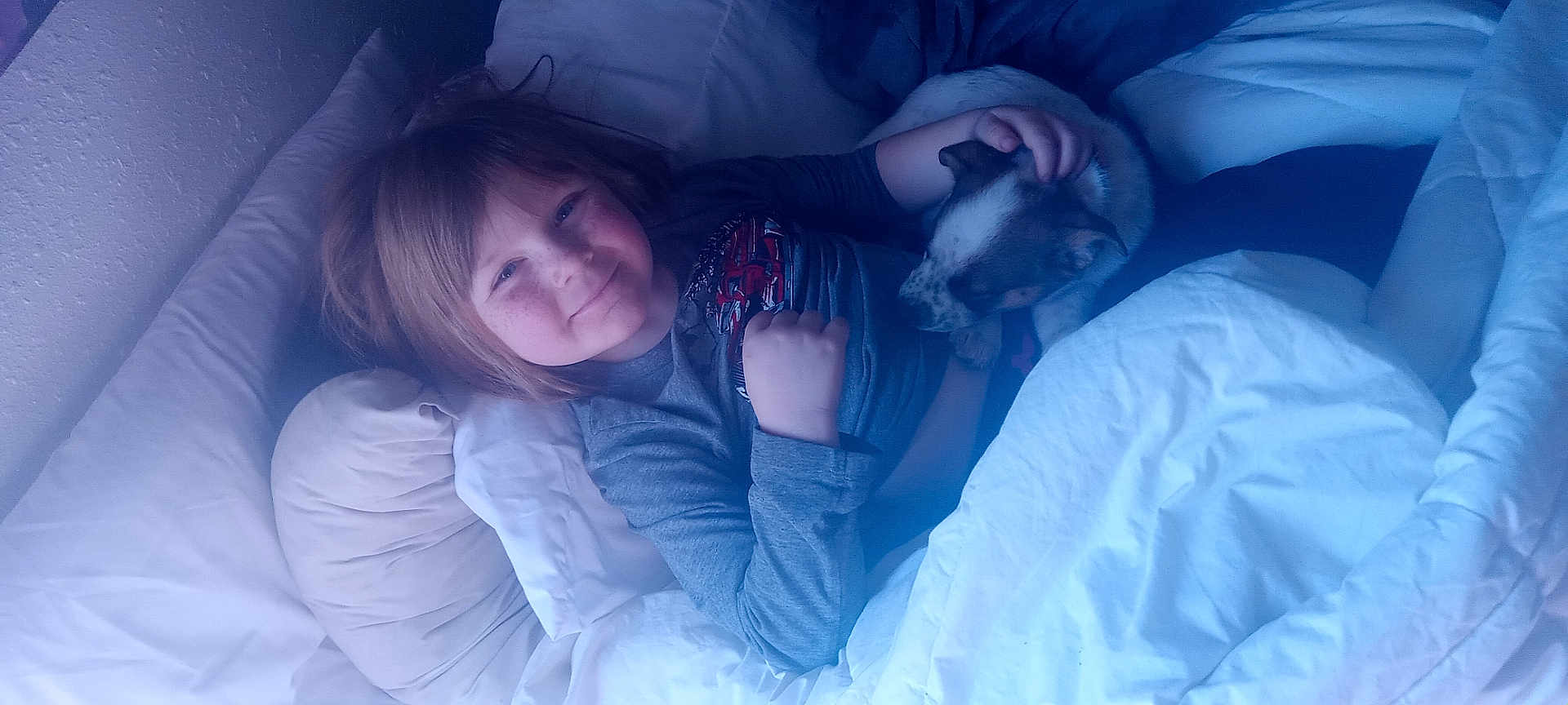 Addiesyn joined the competition — help win amazing prizes! adult, animal, baby, bed, bedroom, blanket, canine, cat, couch, dog, face, furniture, head, indoors, kitten, male, person, pet, puppy, room