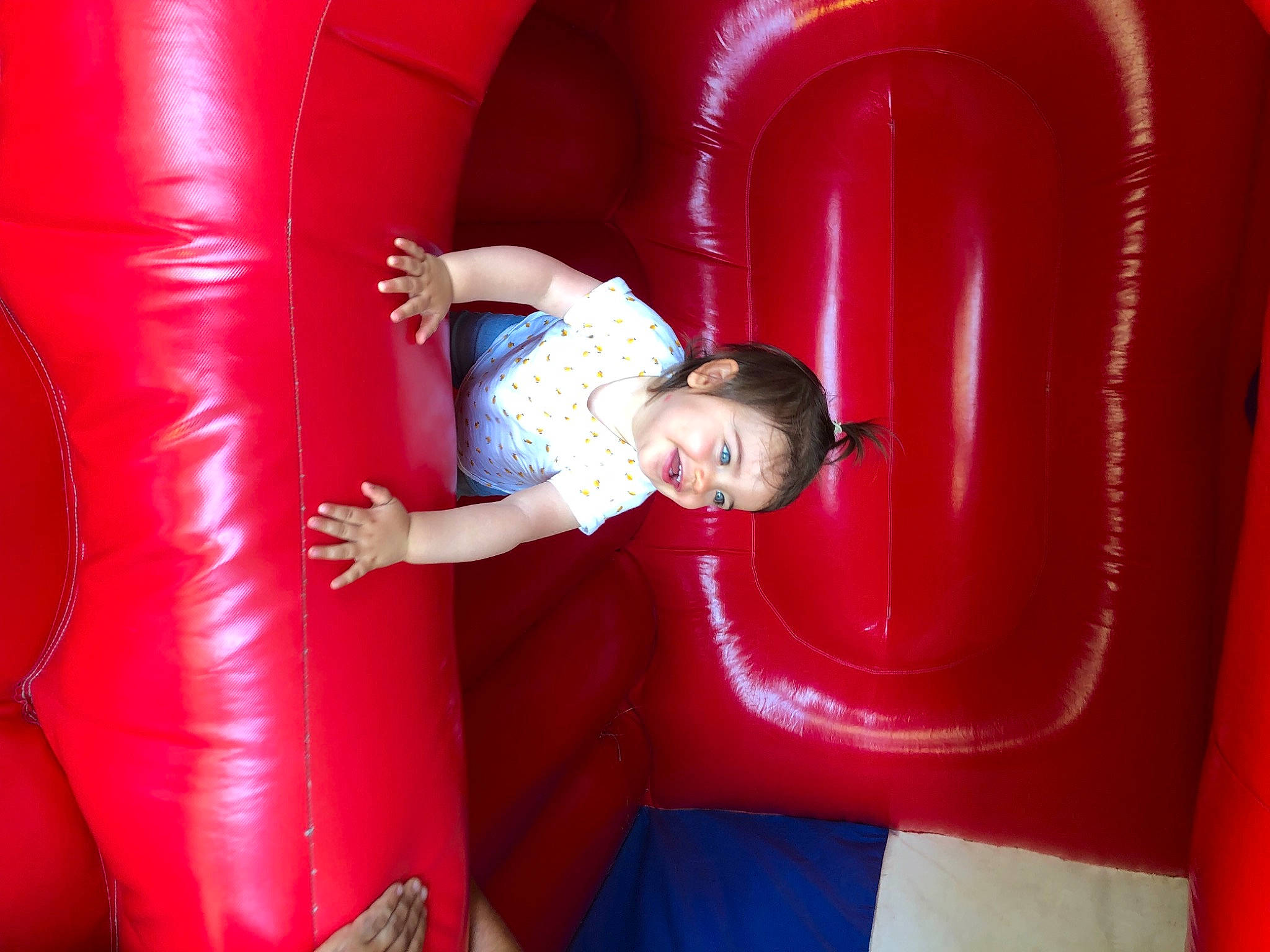 Giuliana a rejoint le concours — aidez-le/la à gagner de superbes lots ! arm, beauty, chute, comfort, fun, head, human_body, leg, leisure, magenta, organ, person, photograph, pink, playground, recreation, red, shorts, snapshot, thigh