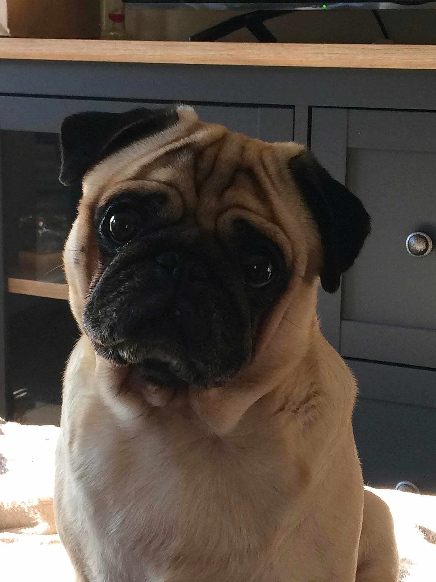 Milo
