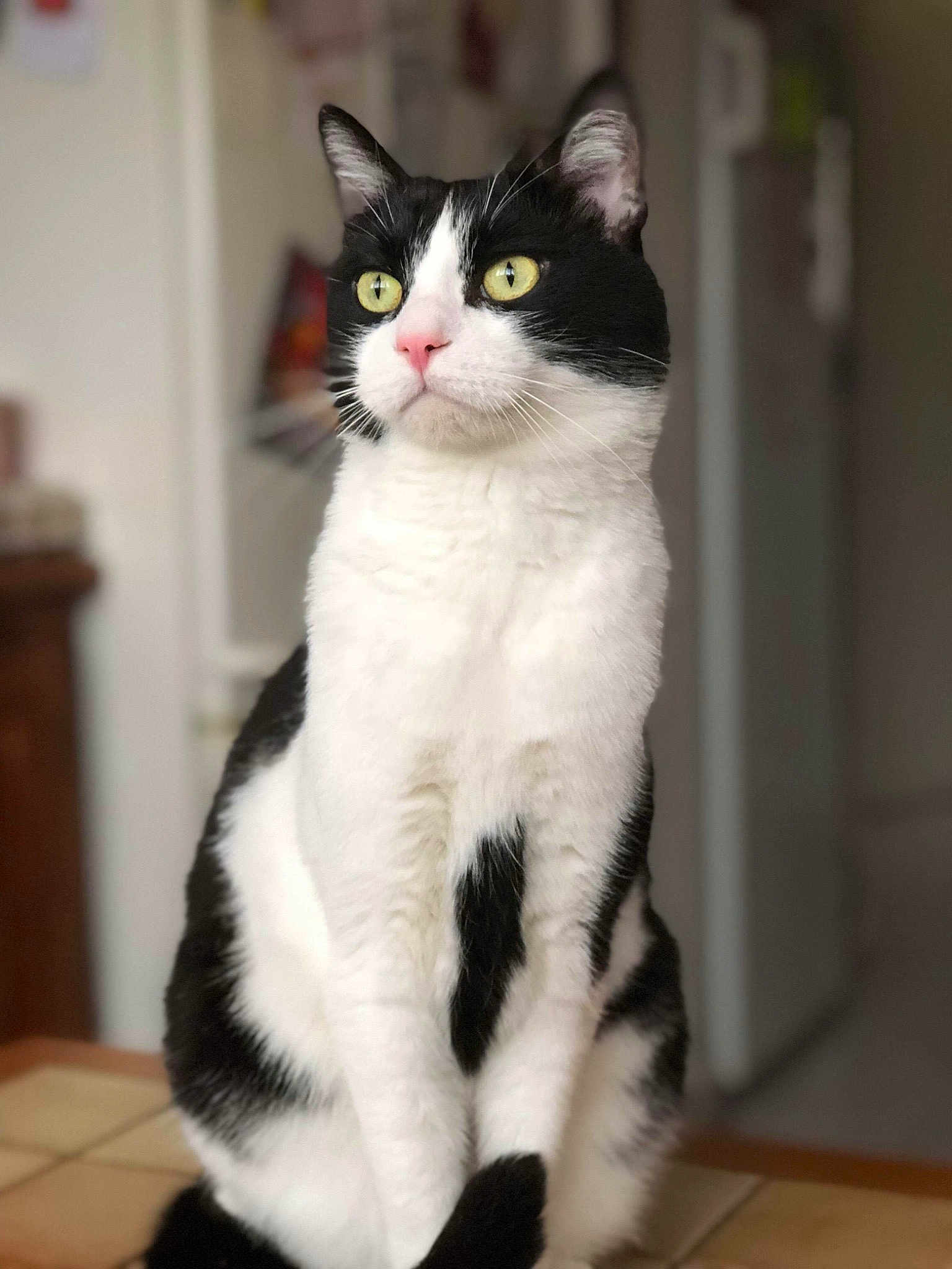 Mickey