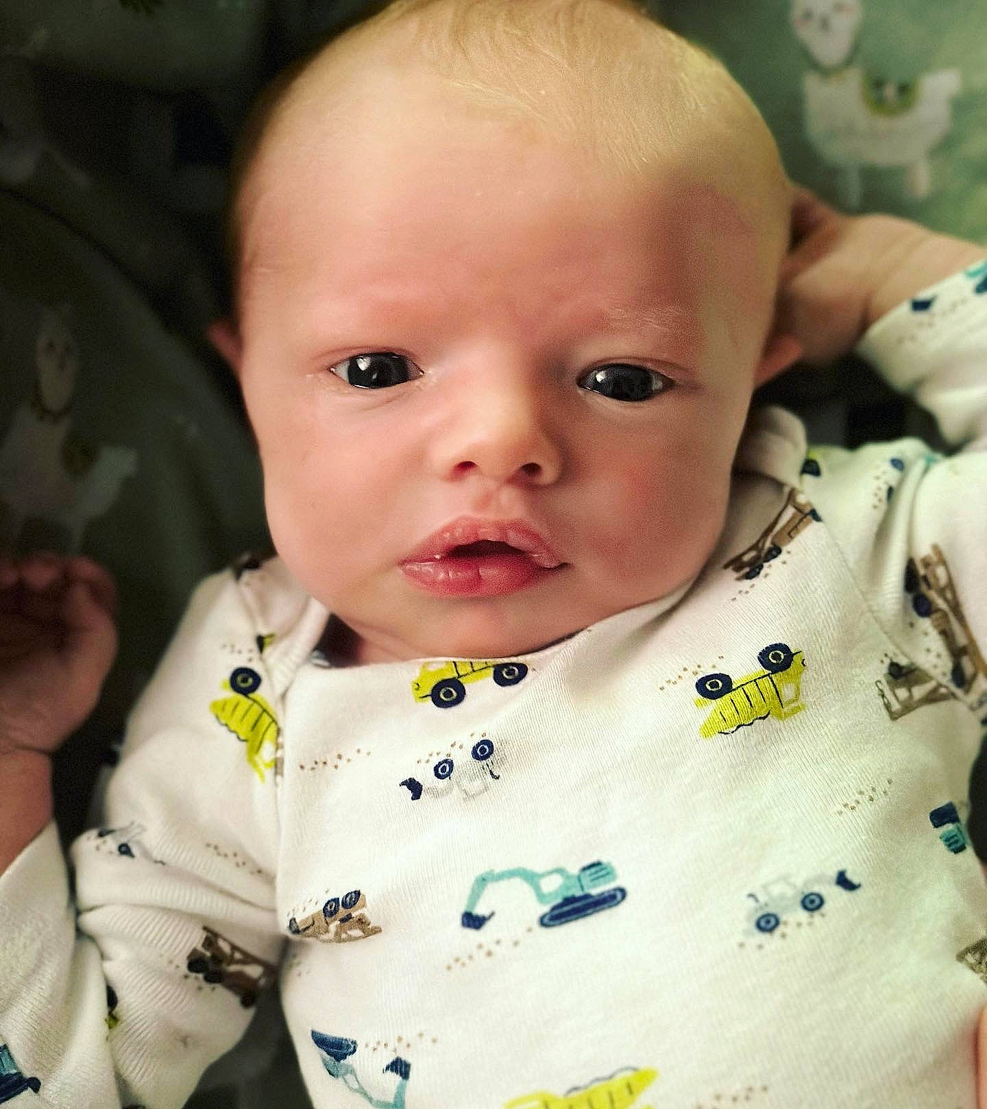 Bennett is registered to the contest to win money with this photo: baby, baby_toddler_clothing, cheek, child, chin, collar, comfort, ear, eyebrow, eyelash, happy, iris, lip, mouth, nose, person, skin, sleeve, smile, toddler