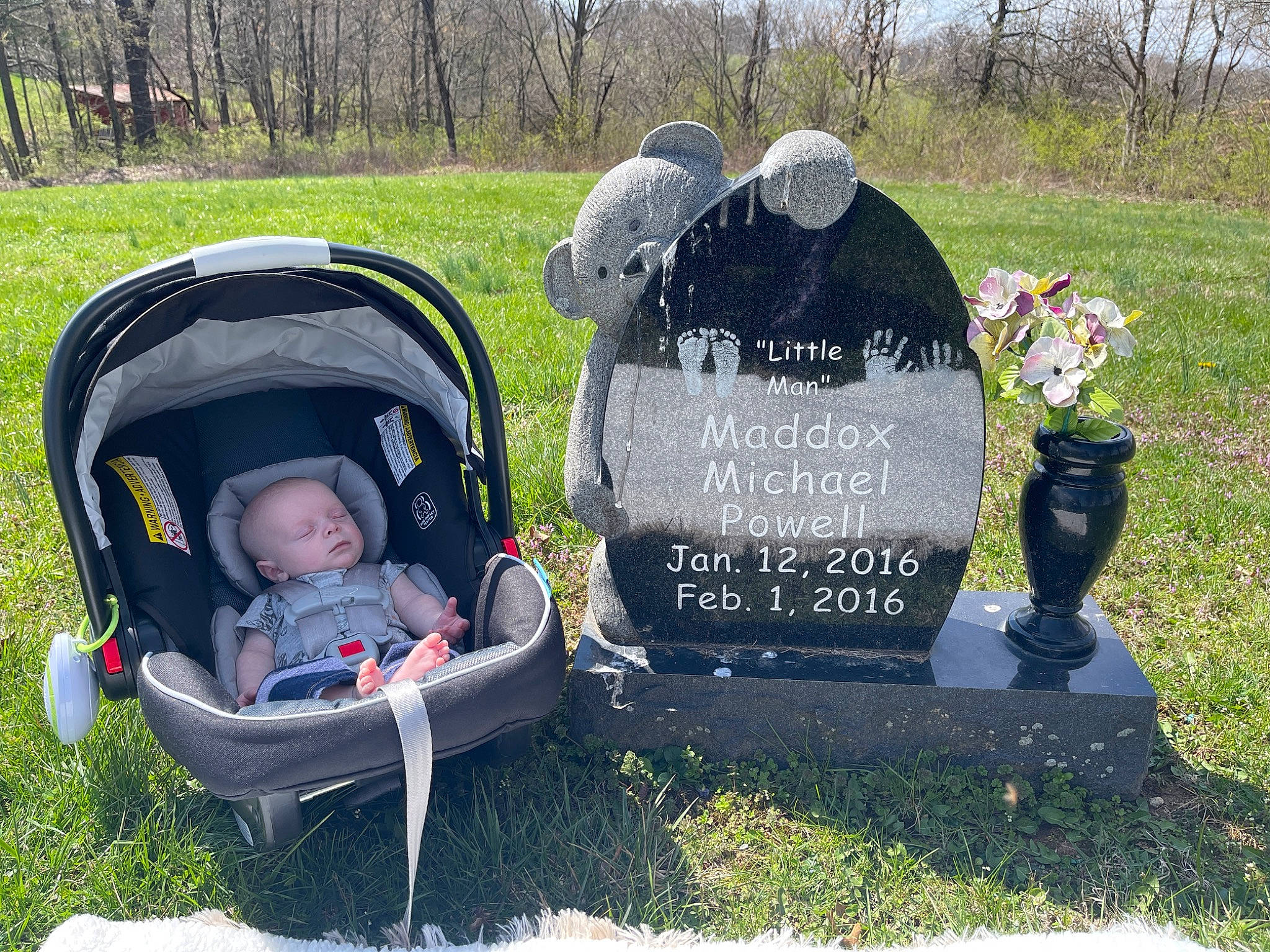 Nikolai joined the competition — help win amazing prizes! baby_carriage, baby_products, bag, cemetery, font, grass, grass_family, grassland, grave, groundcover, headstone, leaf, leisure, memorial, motor_vehicle, person, plant, recreation, toddler, tree