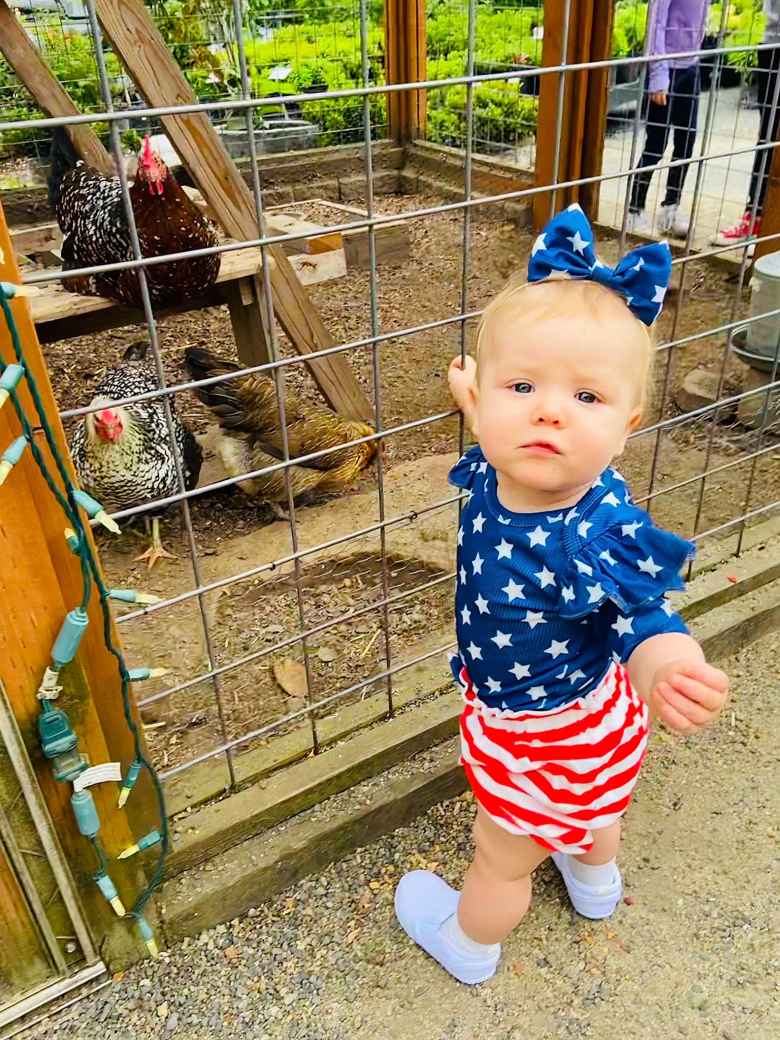 Daisey is registered to the contest to win money with this photo: baby, baby_toddler_clothing, cage, child, electric_blue, fence, fun, grass, happy, hat, leisure, metal, pattern, person, pet_supply, plant, play, recreation, sleeve, toddler