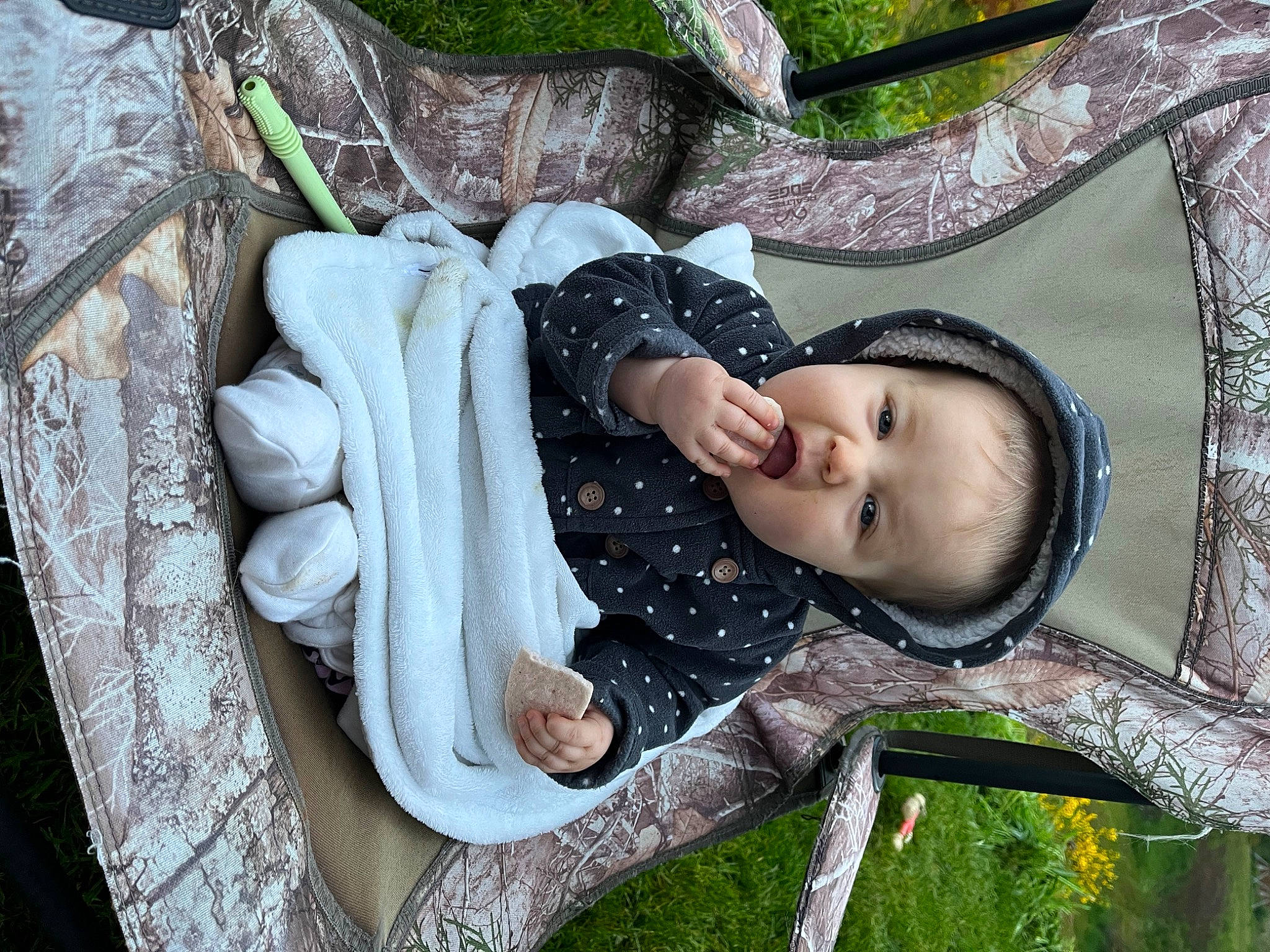 Daisey joined the competition — help win amazing prizes! baby, baby_carriage, baby_products, baby_safety, baby_toddler_clothing, child, comfort, fun, grass, happy, leisure, linens, pattern, person, sleep, textile, toddler, tree, wood