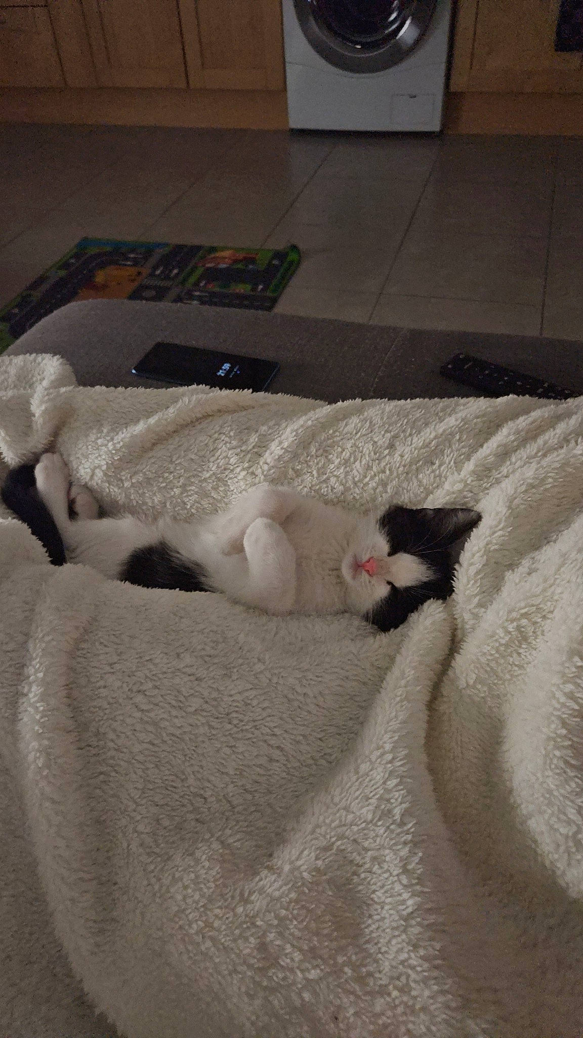 Nala participe au concours pour gagner de l'argent avec cette photo : bed, bedding, carnivore, cat, comfort, companion_dog, domestic_short_haired_cat, fawn, felidae, flooring, fur, grey, hardwood, linens, paw, small_to_medium_sized_cats, snout, tail, whiskers, wood