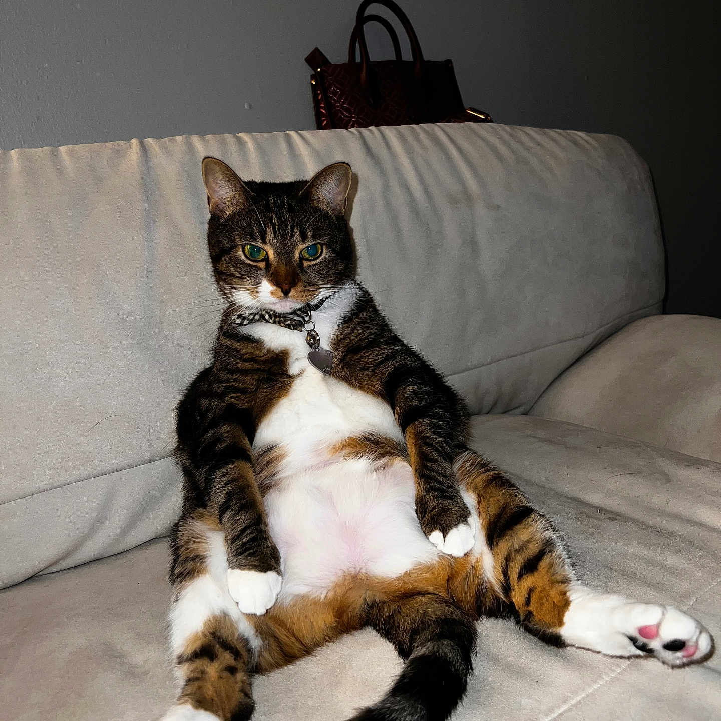 Tigg
