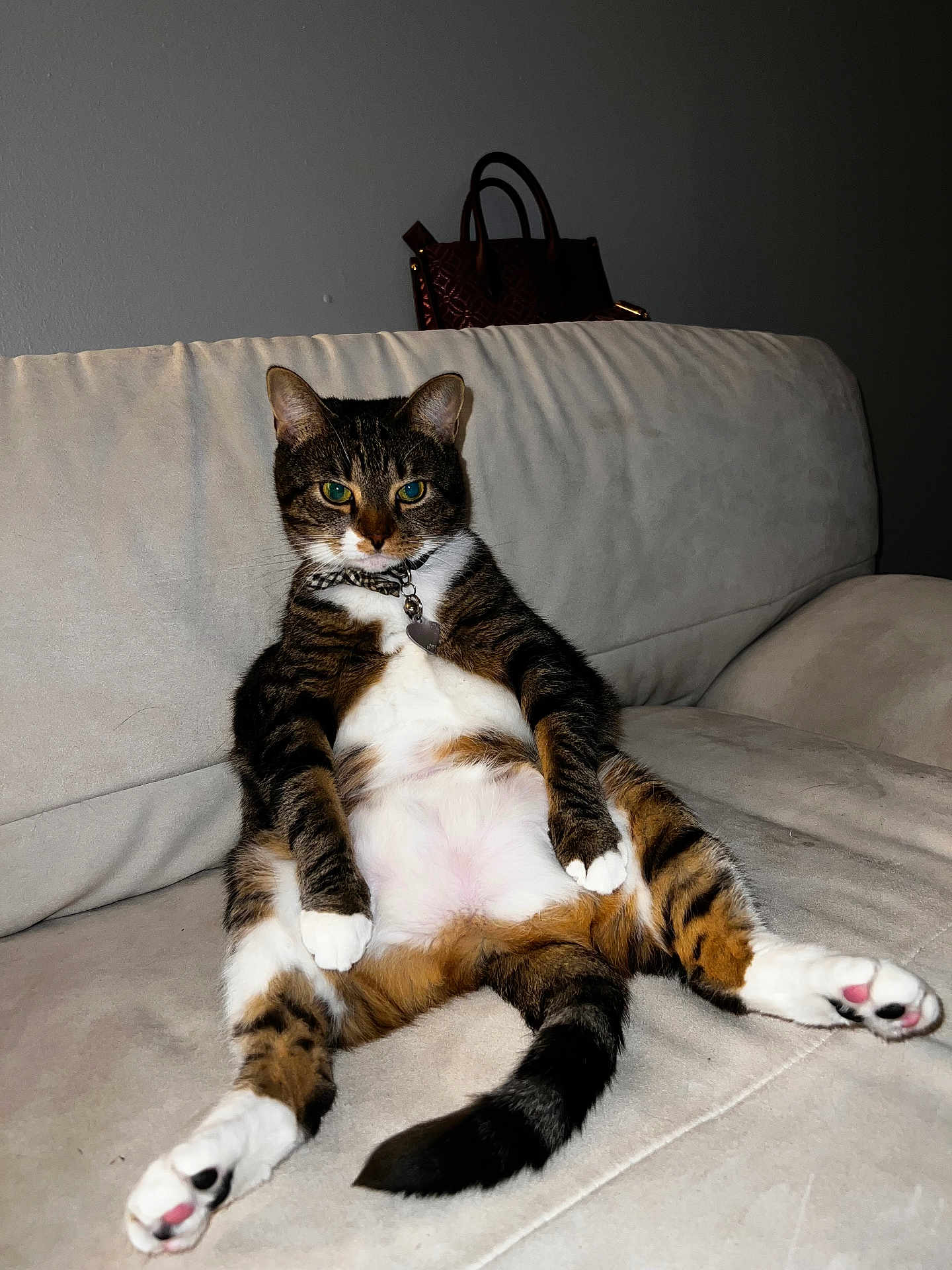 Tigg