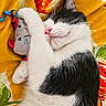 cat, sleeping, plush_toy, mouse_toy, black_and_white_cat, pet, cozy, cute, animal, fur, whiskers, pink_nose, resting, indoor, bedroom, blanket, yellow, floral_pattern, closeup, adorable