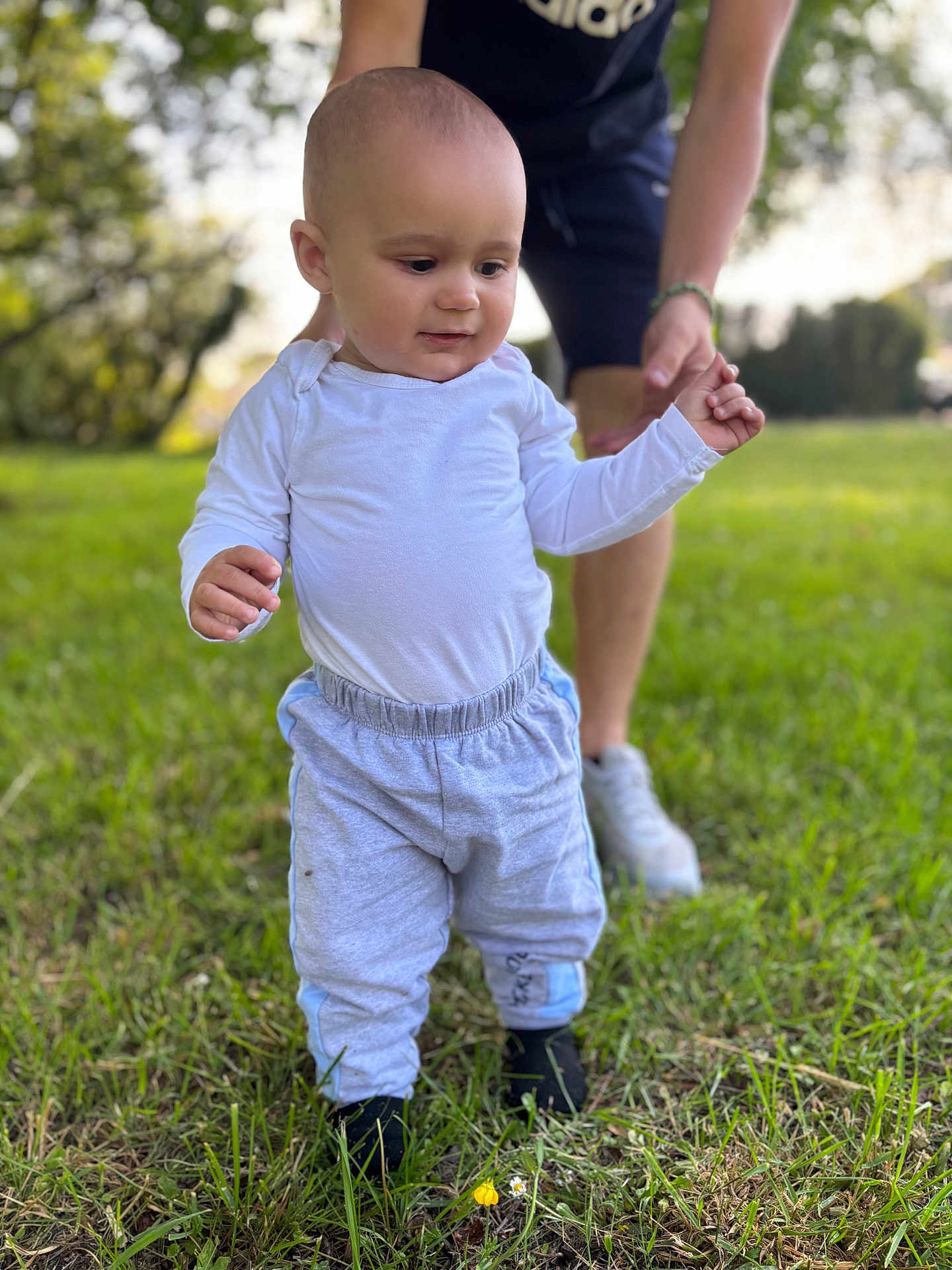 Cameronn a rejoint le concours — aidez-le/la à gagner de superbes lots ! toddler, child, baby, grass, outdoor, walking, person, adult, support, clothing, pants, shirt, hand, footwear, nature, sunlight, greenery, blurred_background, early_steps, family