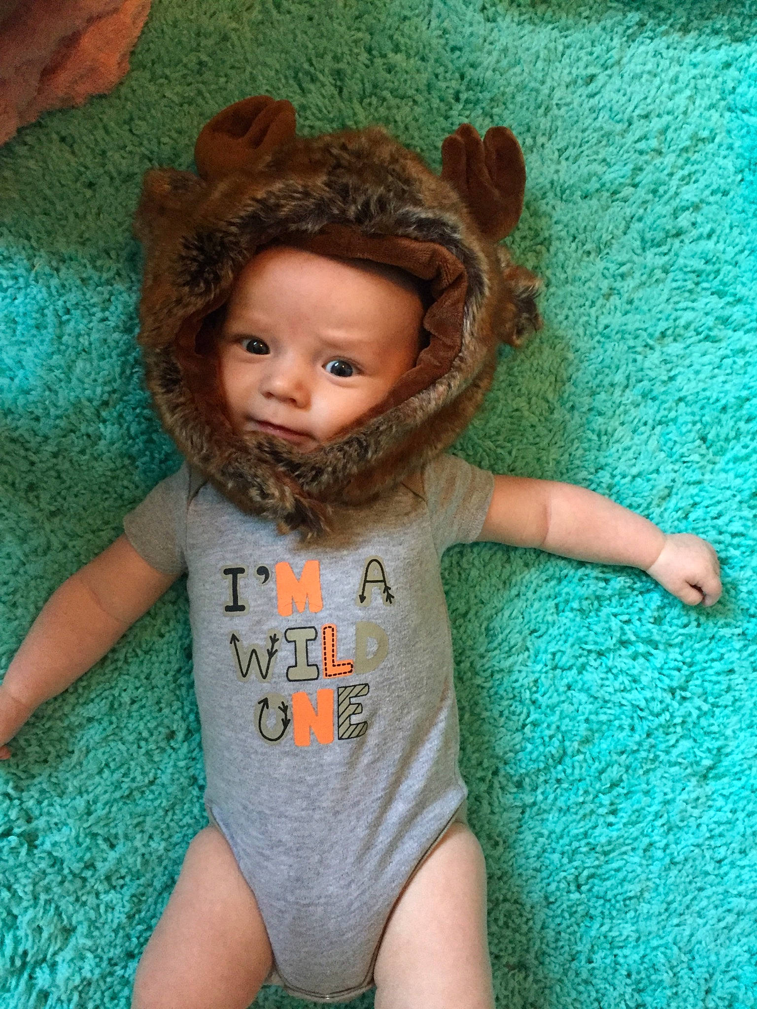 Gannon is registered to the contest to win money with this photo: baby, brown_hair, cheek, child, doll, eye, face, fawn, head, headgear, joint, person, skin, t_shirt, toddler, toy