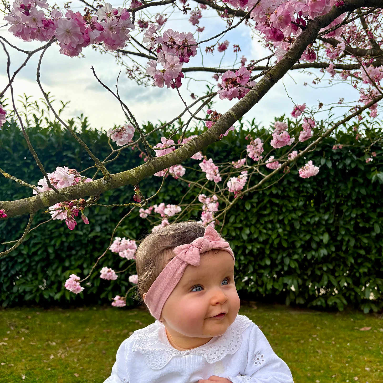 Ambre a rejoint le concours — aidez-le/la à gagner de superbes lots ! baby, cap, clothing, face, flower, grass, hat, head, lawn, leaf, nature, outdoors, park, person, petal, photography, plant, portrait, tree, vegetation