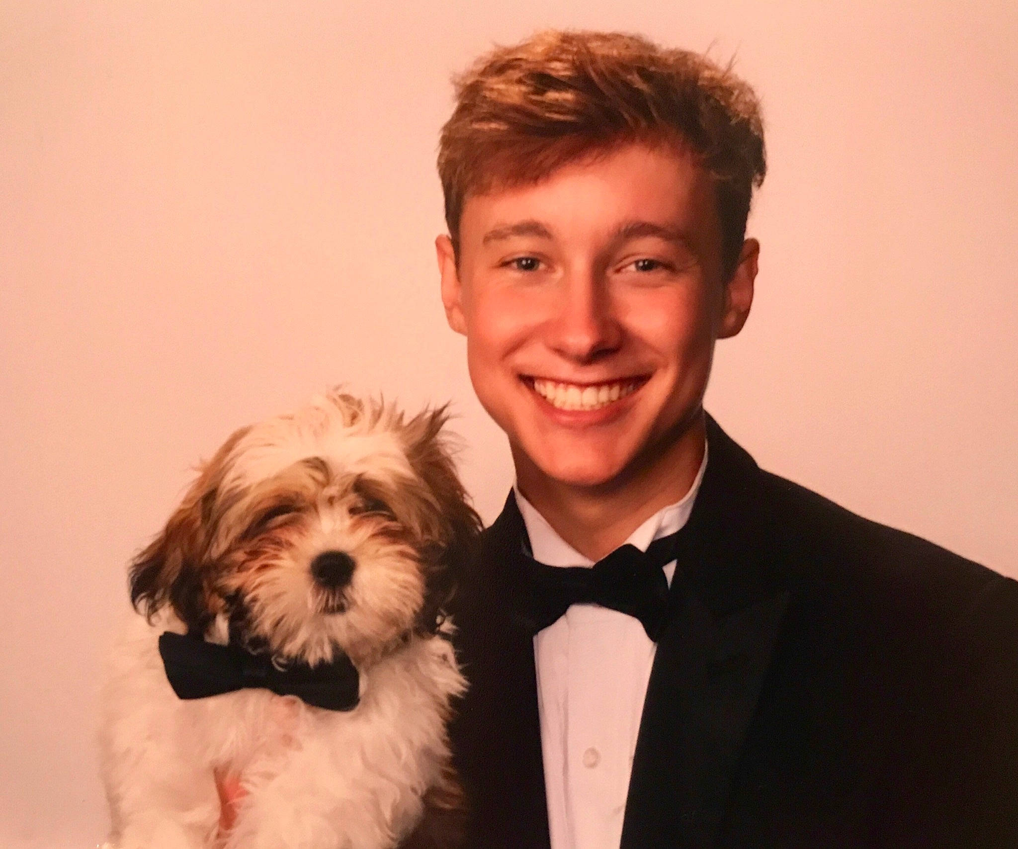 Buddha is registered to the contest to win money with this photo: canidae, carnivore, companion_dog, dog, dog_breed, event, facial_hair, formal_wear, gesture, hair, happy, head, small_terrier, smile, snout, sporting_group, suit, terrier, tie, toy_dog