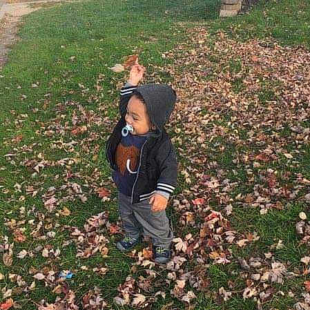 Daylen joined the competition — help win amazing prizes! autumn, backyard, child, fun, garden, girl, grass, house, joy, lawn, leaf, outdoor_structure, person, plant, play, recreation, shrub, tree, vertebrate, yard