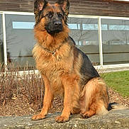 Finka a rejoint le concours — aidez-le/la à gagner de superbes lots !