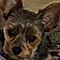 Miley Lynn