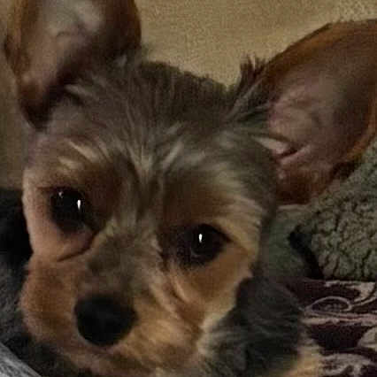 Miley Lynn