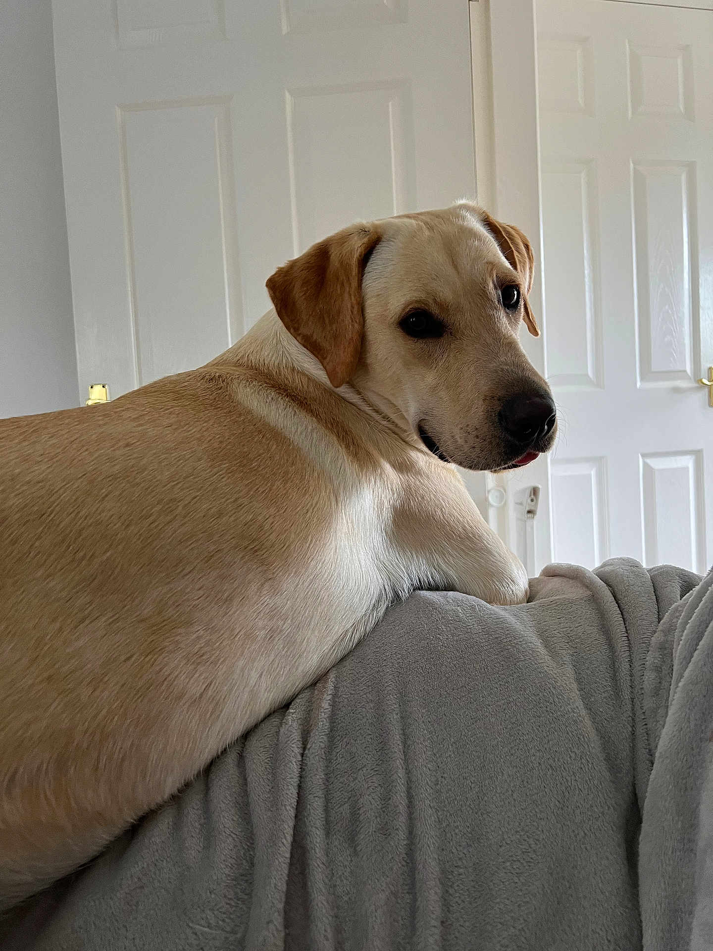 Molly-May