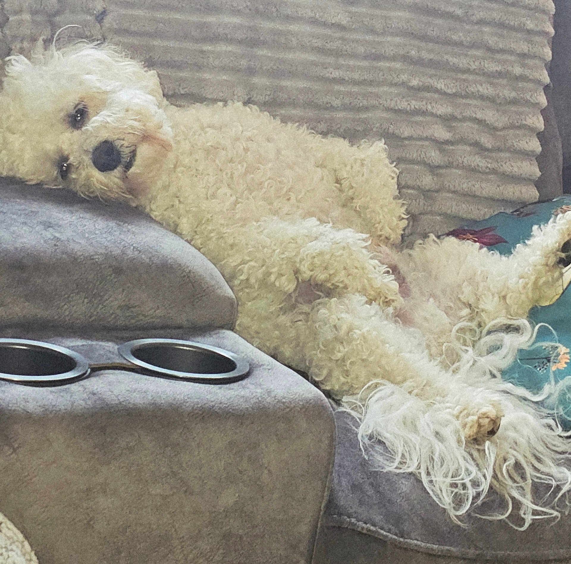 Archie