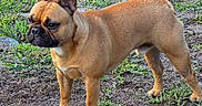 Aribo participe au concours pour gagner de l'argent avec cette photo :