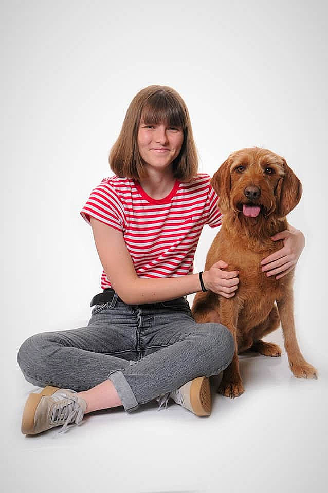 Stan participe au concours pour gagner de l'argent avec cette photo : canidae, carnivore, companion_dog, dog, dog_breed, fawn, fur, golden_retriever, puppy, puppy_love, sitting, sporting_group