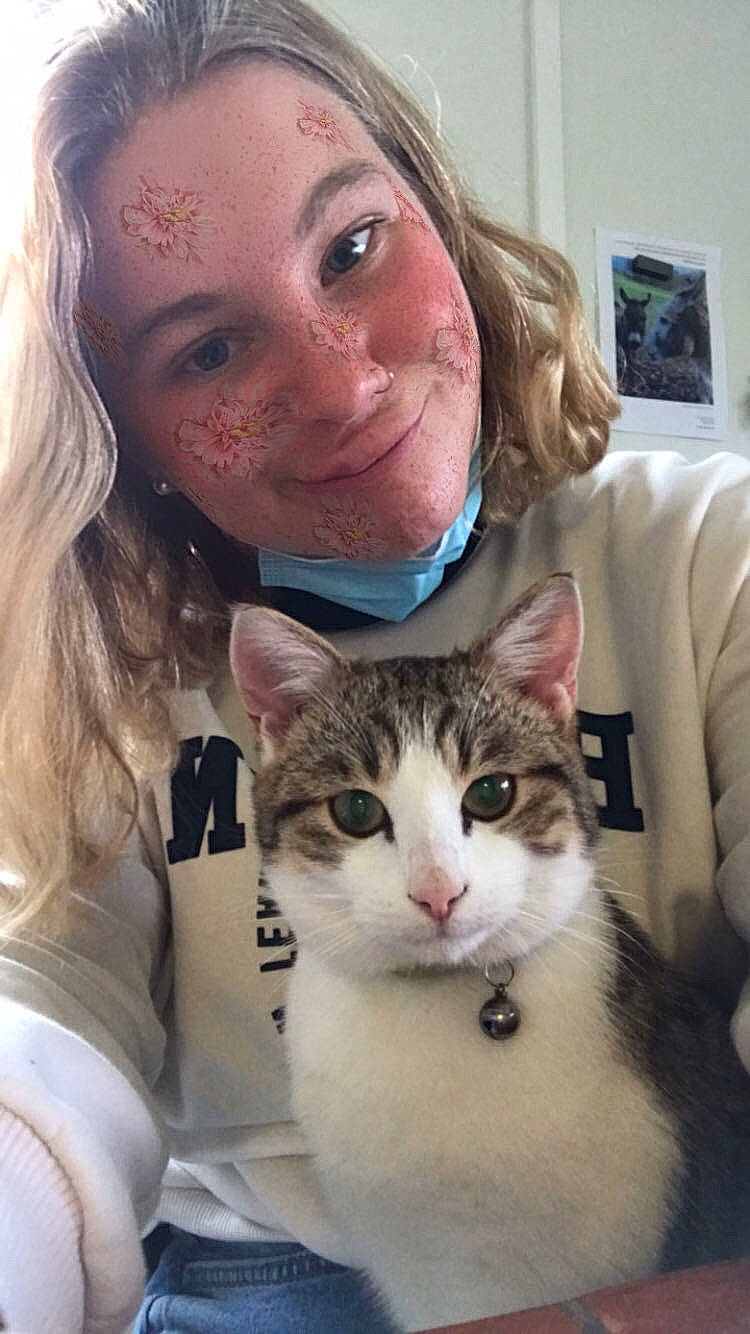 Lana participe au concours pour gagner de l'argent avec cette photo : carnivore, cat, cheek, eye, eyebrow, eyelash, fawn, felidae, gesture, hair, happy, iris, jaw, joy, mammal, nose, organ, person, skin, small_to_medium_sized_cats