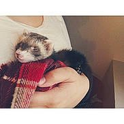 Burt Macklin is registered to the contest to win money with this photo: