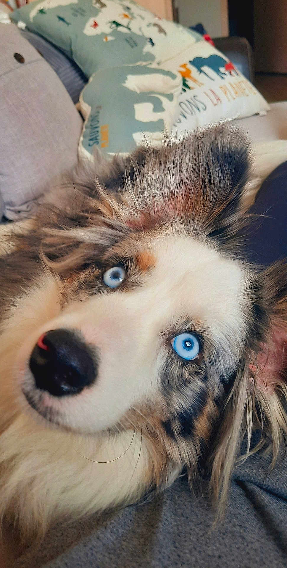 Blue