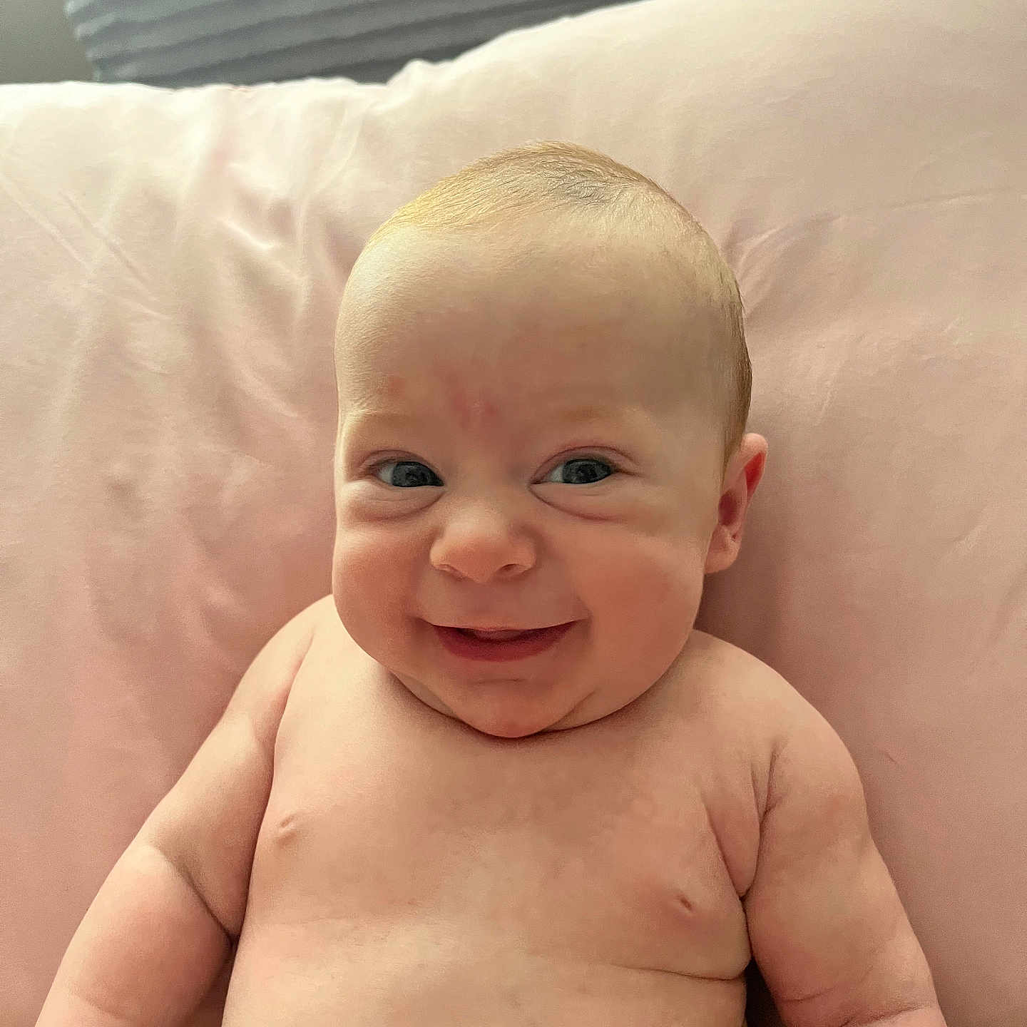 Wesley joined the competition — help win amazing prizes! baby, babylaughing, bodypart, couch, cushion, face, finger, furniture, hand, happy, head, homedecor, laughing, newborn, person, photography, portrait, smile