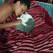 Lily joined the competition — help win amazing prizes! bed, blanket, cat, comfort, cozy, curled_up, cute, friendship, furniture, hand, indoor, nap, peaceful, person, pet, red, rest, sleeping, striped, young