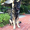 Gus is registered to the contest to win money with this photo: