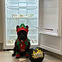 animal, black_dog, christmas_elf, costume, dog, festive, floor, football, french_bulldog, fridge, funny, holiday, indoor, mess, open_fridge, pet, spill, street_football, tile_floor, yogurt