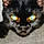 Will Feral