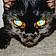 Will Feral