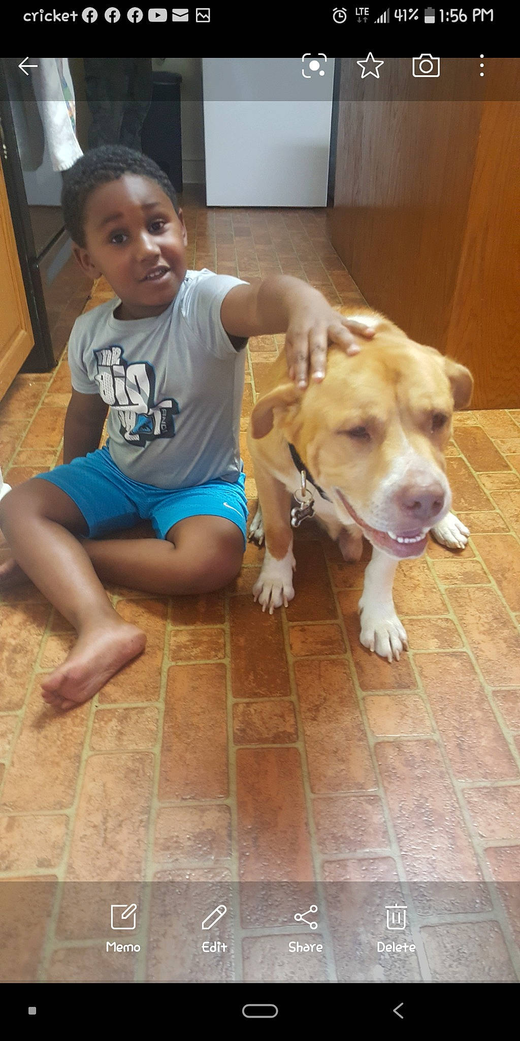 Xaidyn joined the competition — help win amazing prizes! barefoot, canidae, carnivore, child, companion_dog, dog, dog_breed, eye, fawn, flooring, foot, fur, happy, human_leg, person, shorts, sporting_group, t_shirt, thigh, wood