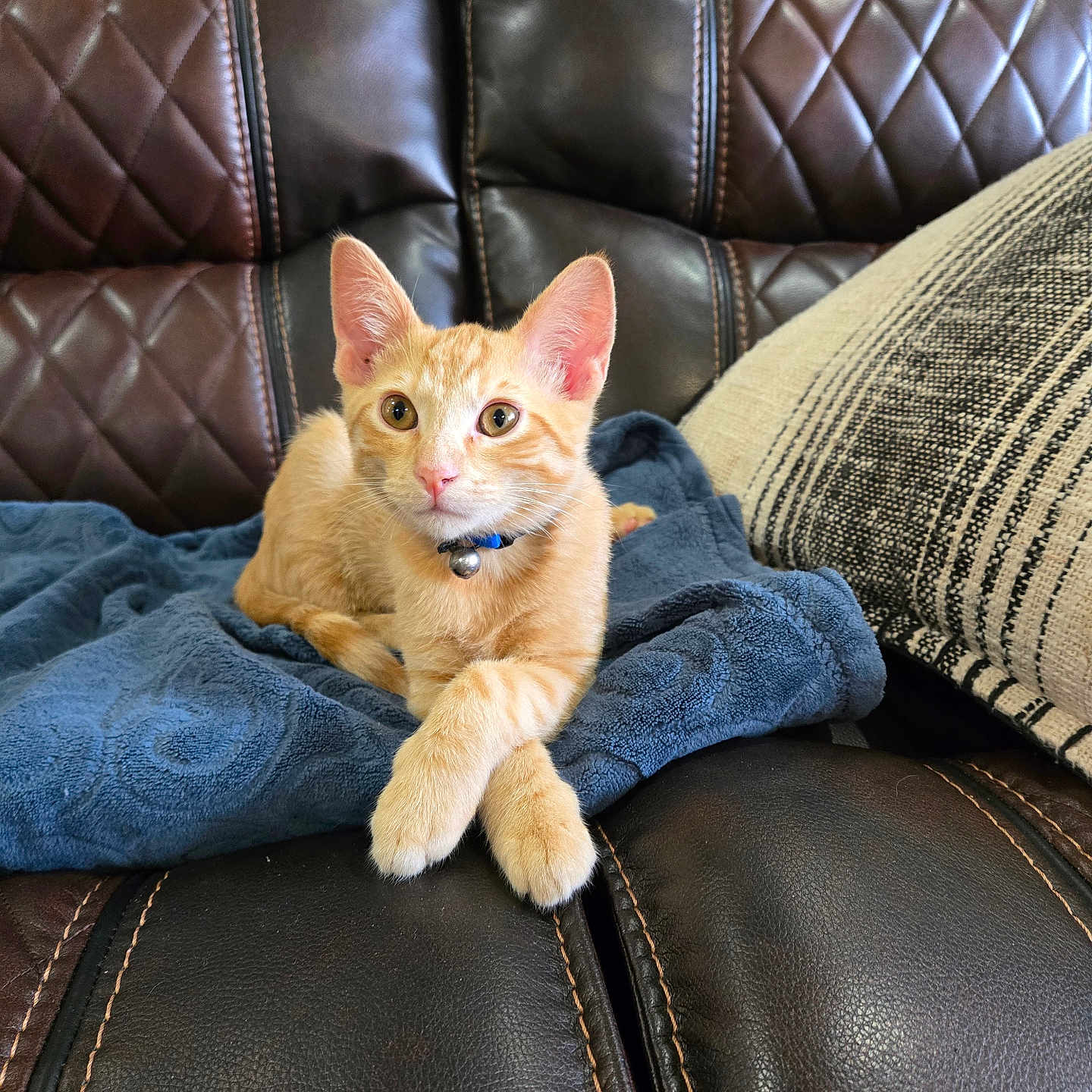 Tiny