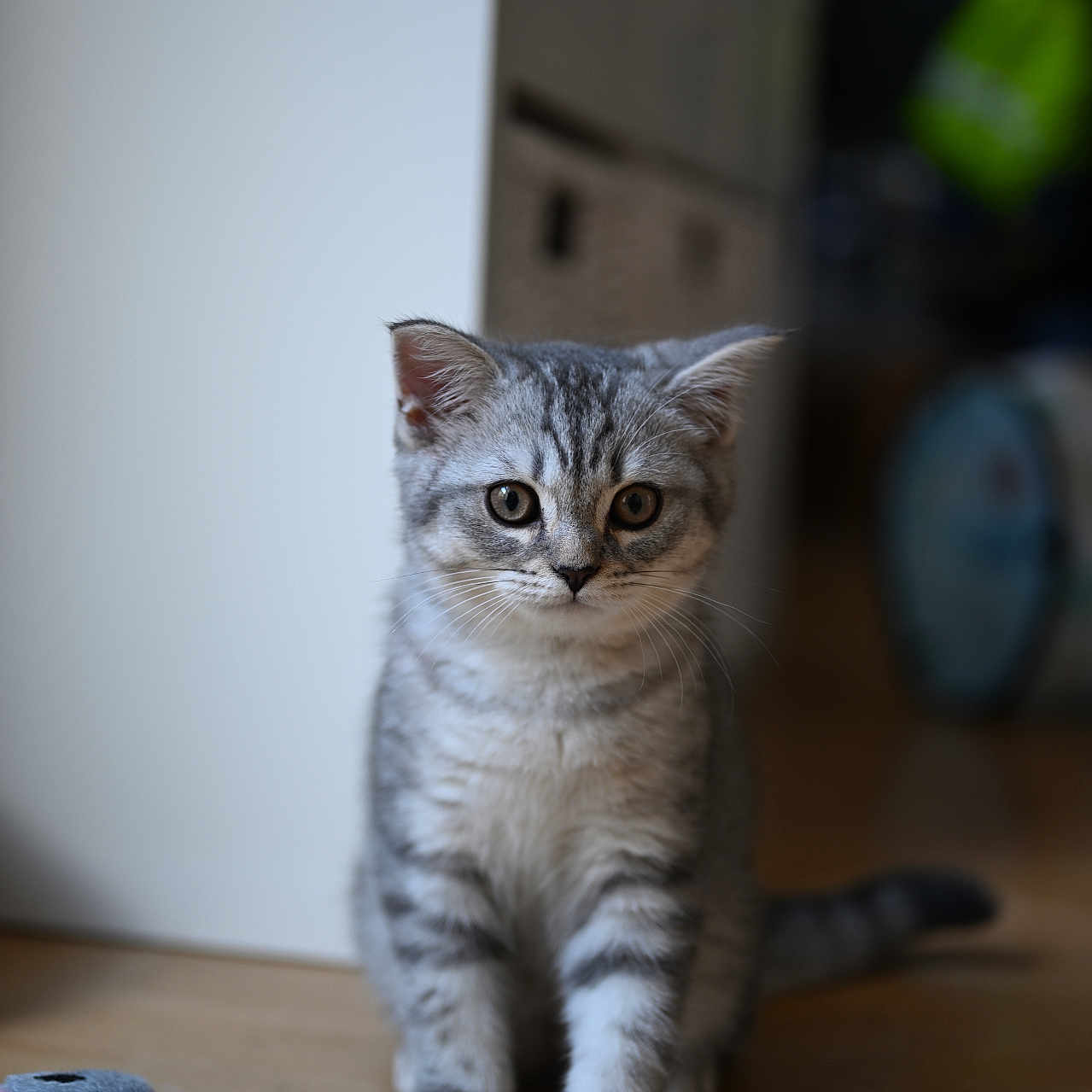 Mimi
