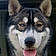 Koda