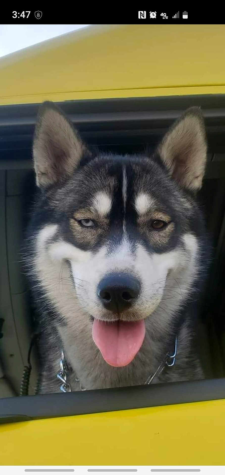 Koda