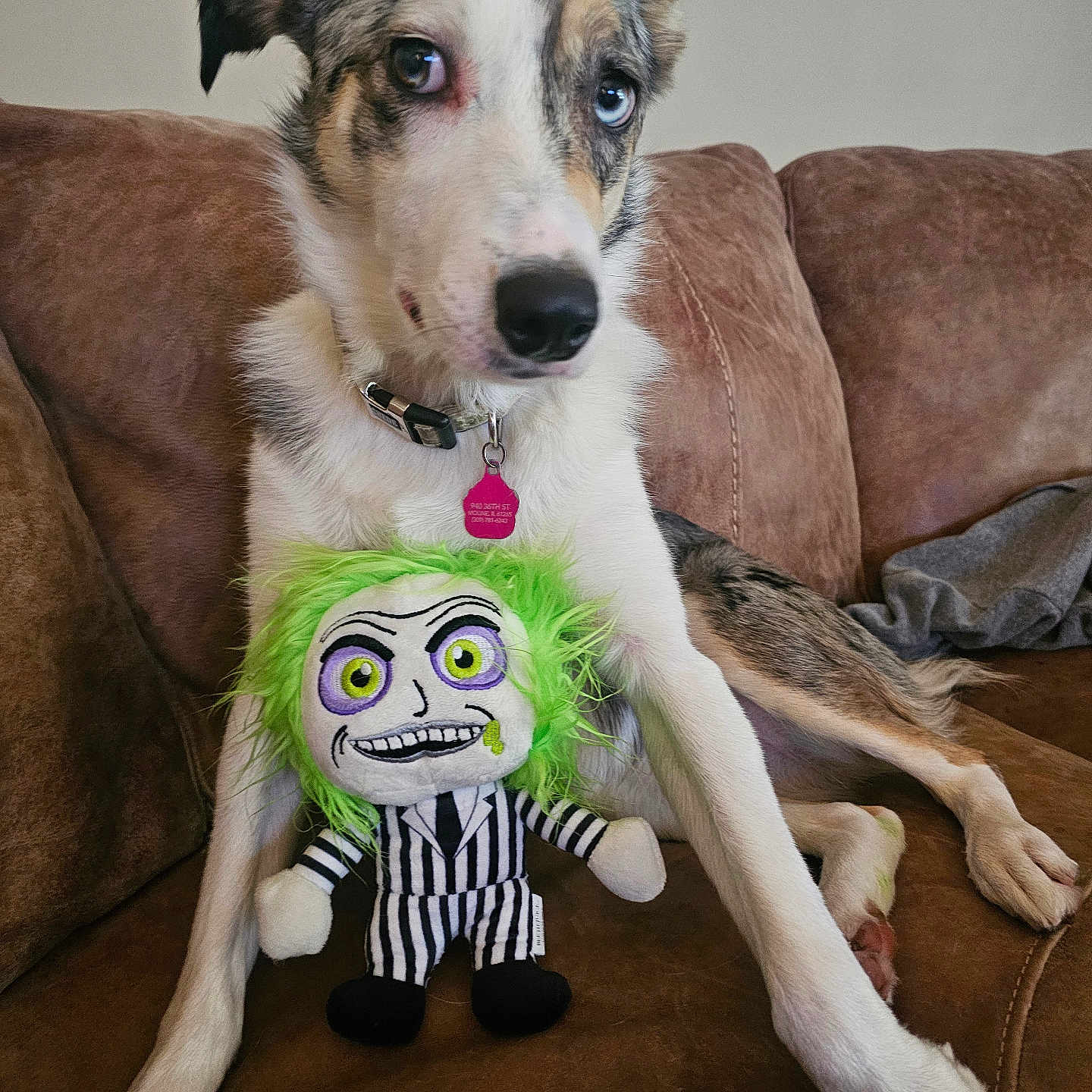 Maggie