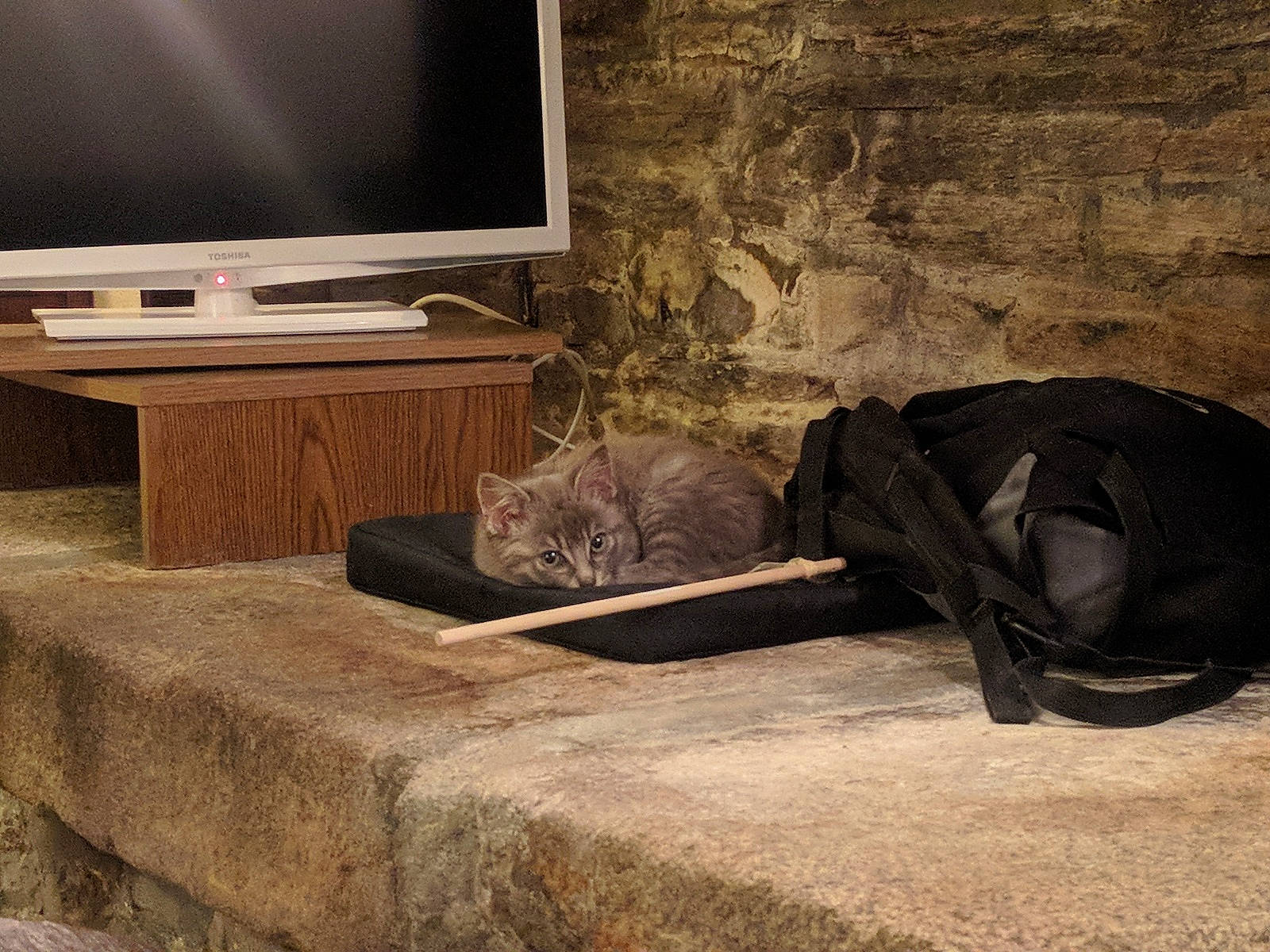 Negan a rejoint le concours — aidez-le/la à gagner de superbes lots ! comfort, floor, flooring, fur, furniture, hardwood, interior_design, living_room, media, room, table, television, television_set, wall, wood