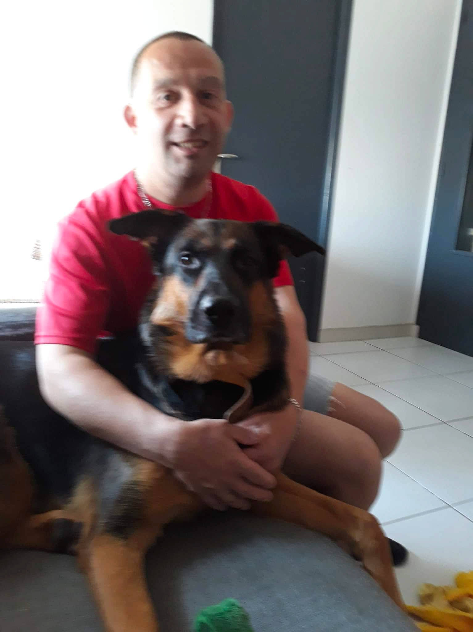 Tara participe au concours pour gagner de l'argent avec cette photo : canidae, carnivore, comfort, companion_dog, couch, dog, dog_breed, fawn, flooring, fun, fur, guard_dog, lap, mammal, paw, sitting, smile, snout, sporting_group, thigh