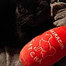 Nisha is registered to the contest to win money with this photo: black_cat, cat, plush_toy, red, blanket, soft_texture, indoor, pet, animal, whiskers, shadow, dim_lighting, toy, fabric, cozy, resting, cute, feline, eyes, closeup